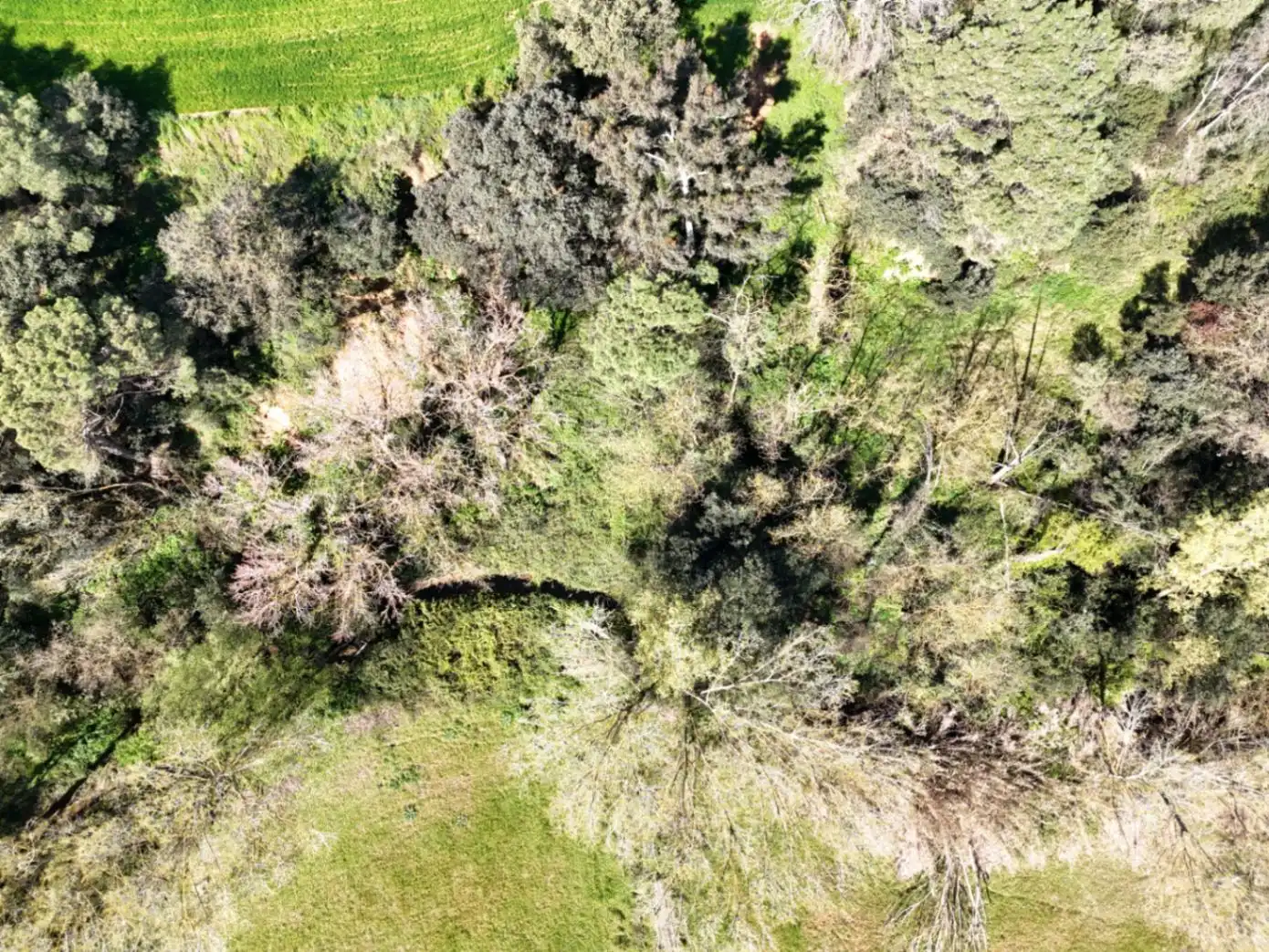 Finca rústica en venta en Sant Antoni de Vilamajor