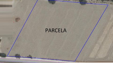 PARCELA EN LA HOYA RURAL, PERFECTA PARA EDIFICAR O CULTIVAR.