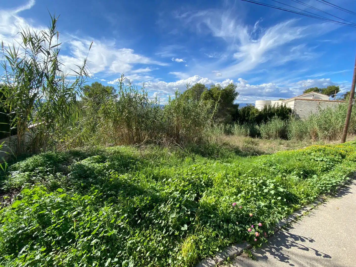 Terreny residencial en venda a Calle Españoleto, imagen 11