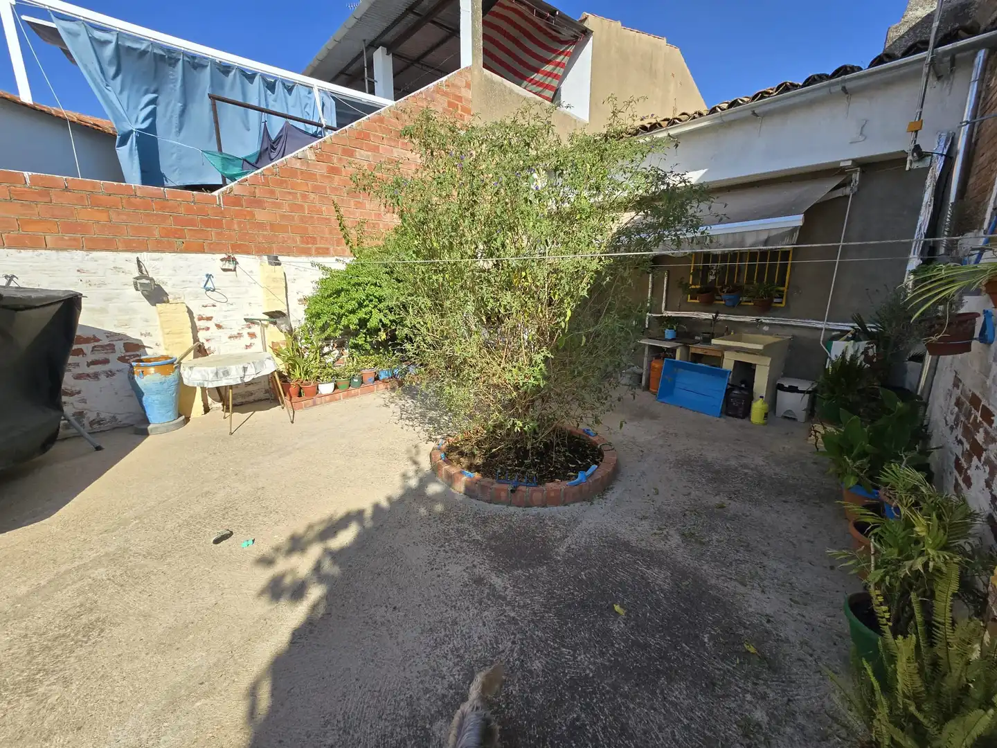 Casa rústica en venta en Calle Rosales, imagen 9