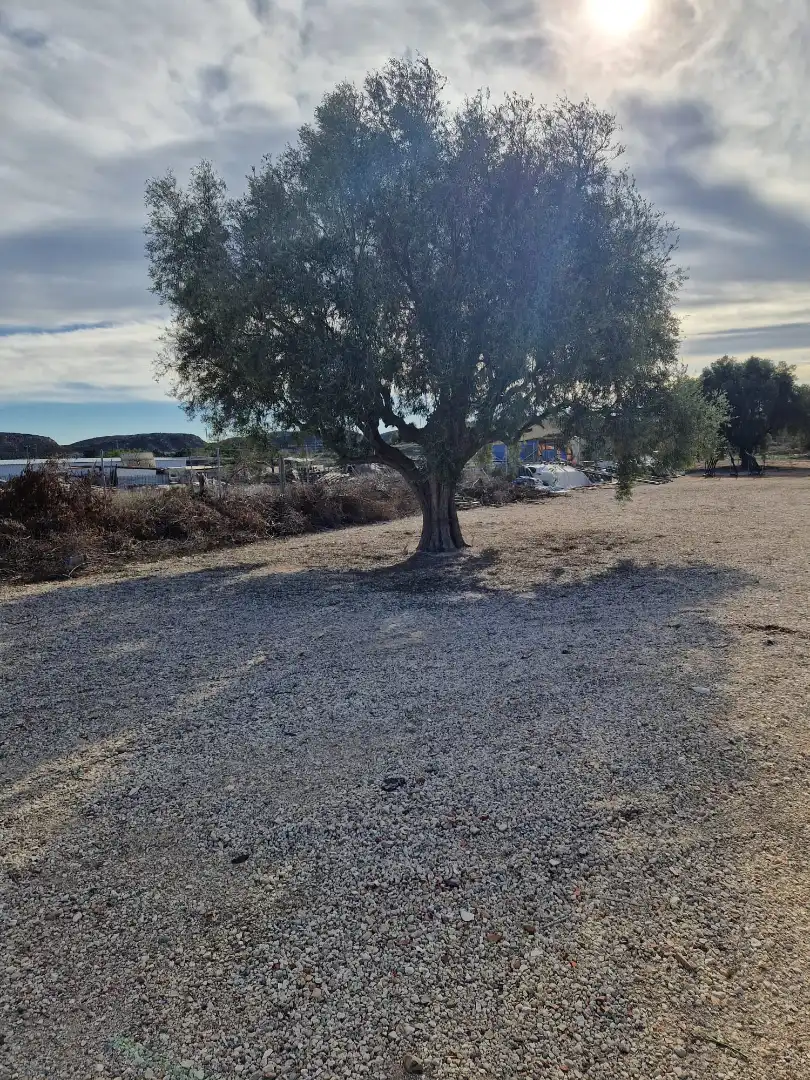 Terreno en venta en Alicante / Alacant