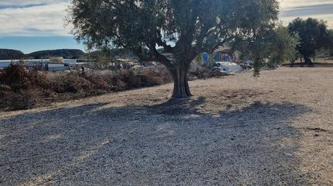 Foto 4 de Terreno en venta en Carretera Bacarot, 50, El Bacarot, Alicante / Alacant