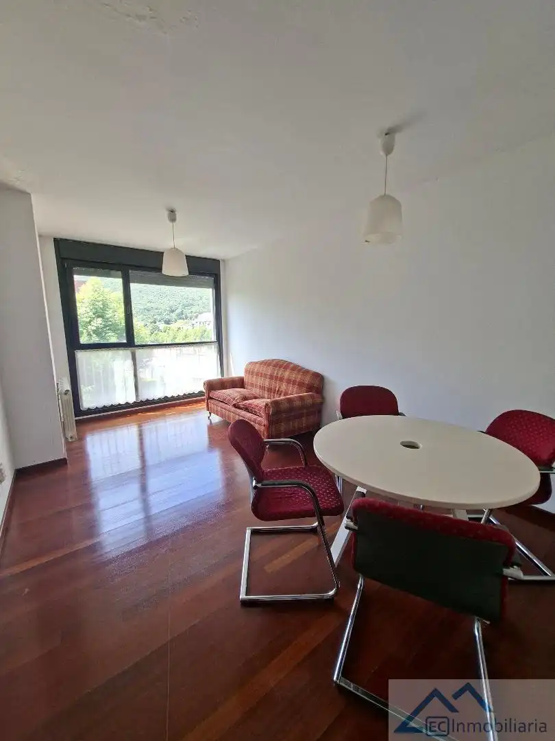 Sala d'estar de Pis en venda en Ramales de la Victoria amb Calefacció, Parquet i Traster