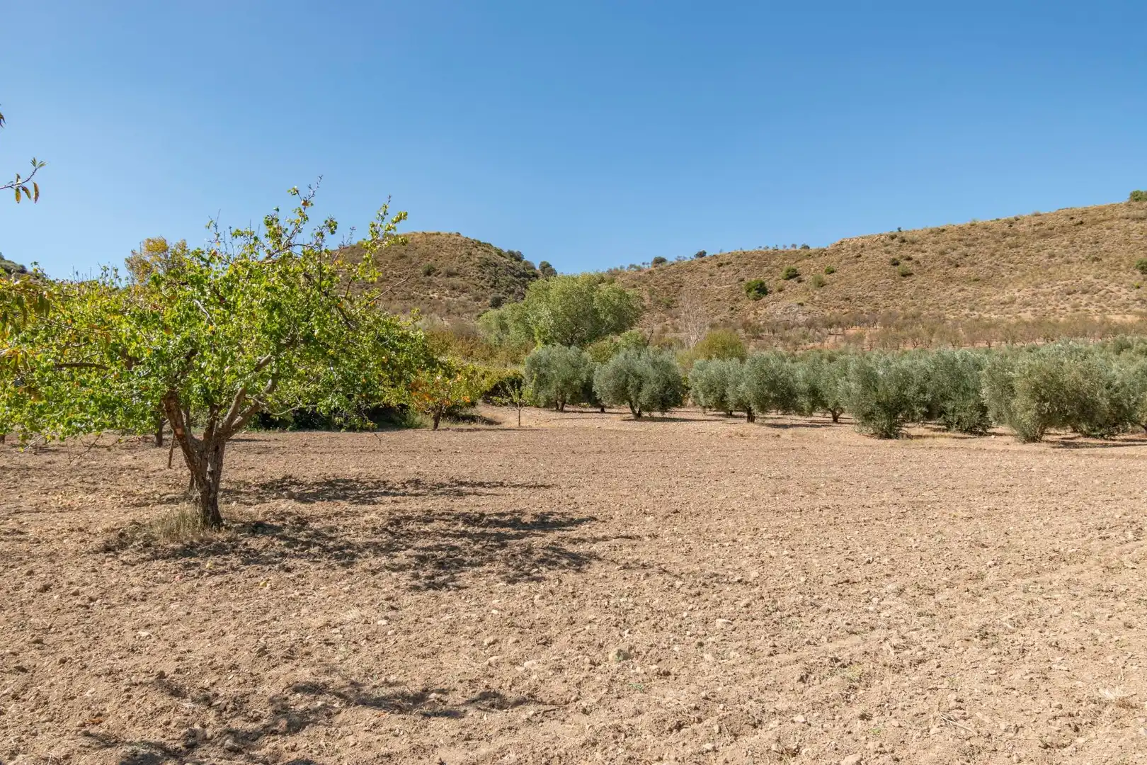 Finca rústica en venta en Vereda morollon, La Peza