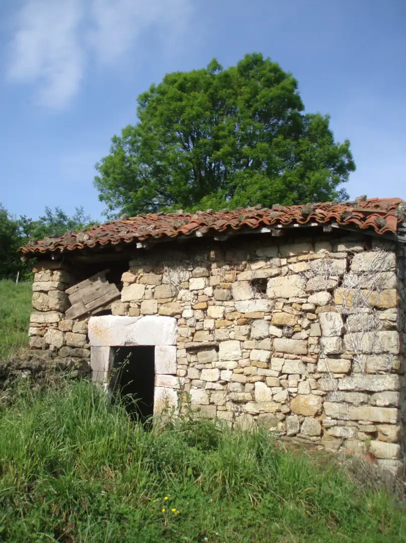 Terreny rústic en venda a Grado, imagen 28
