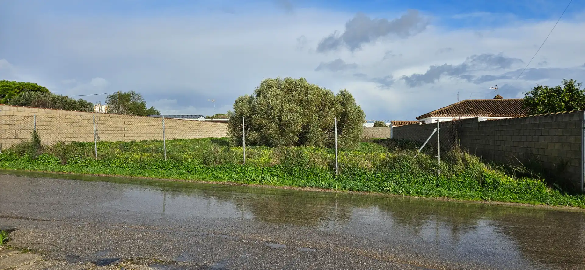 Rural land for sale in Las Lagunas - Campano, imagen 3