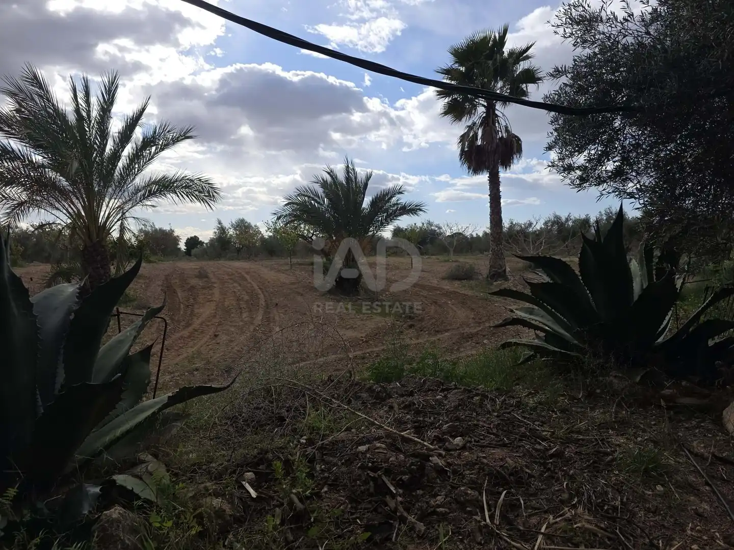 Casa con piscina en venta en Jumilla, imagen 21
