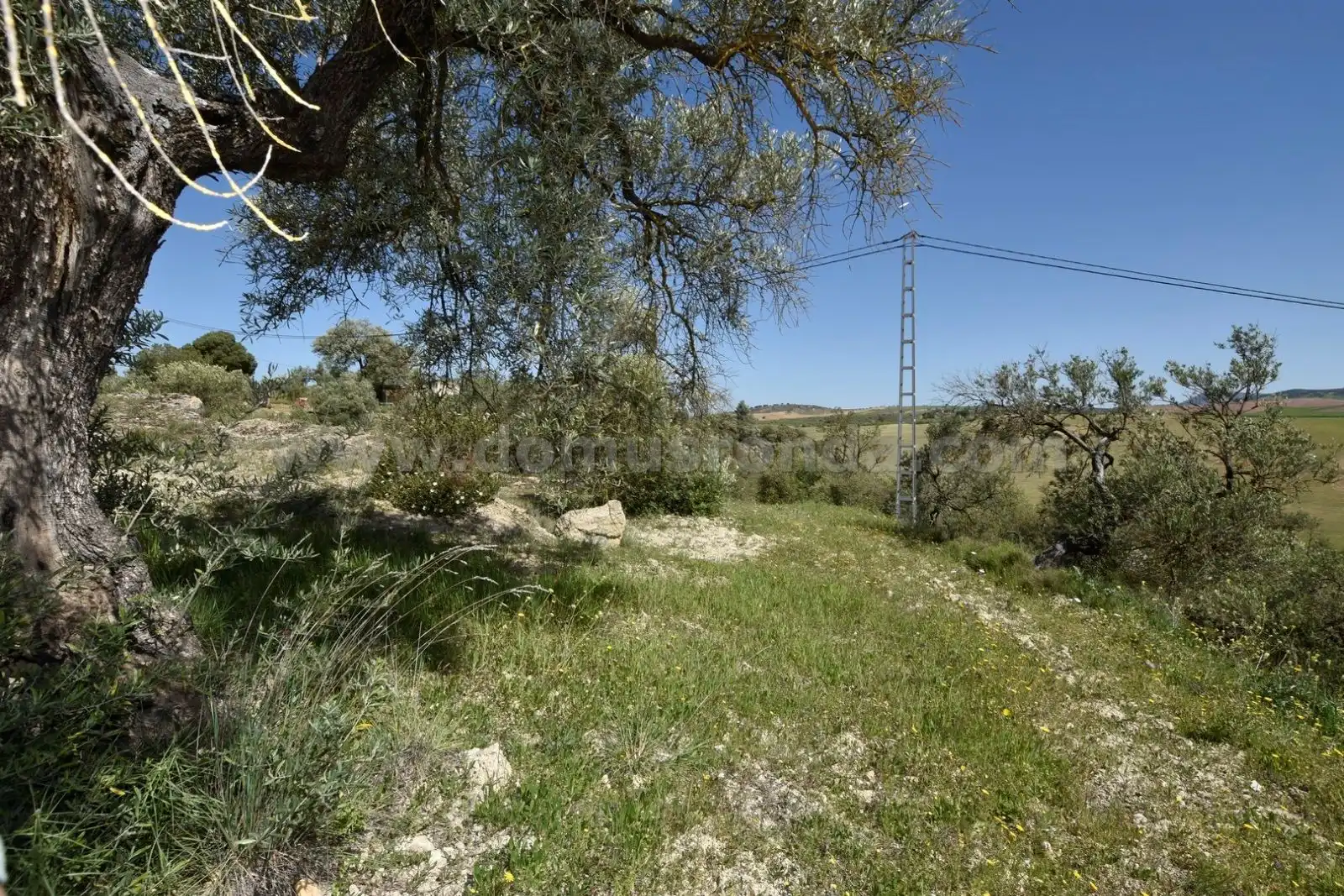 Finca rústica en venda en Ronda
