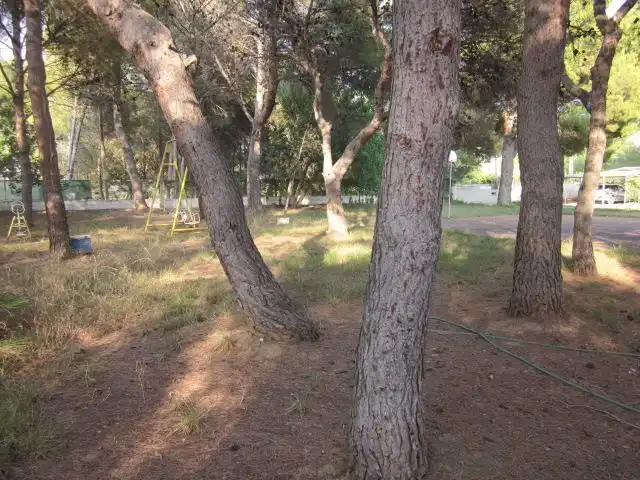 Terreno residenziale in vendita a Plaça Poligono N-43.R 83, imagen 2
