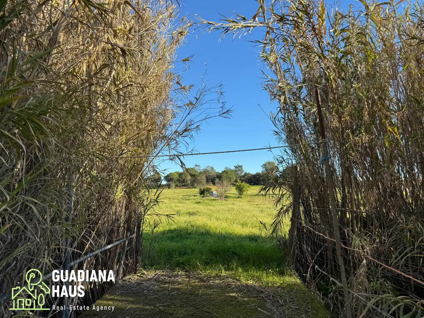 Finca rústica en venda en Villablanca