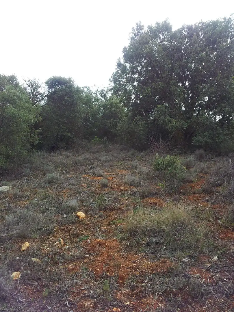 Terrenos y solares en venta en Hontoba, imagen 7