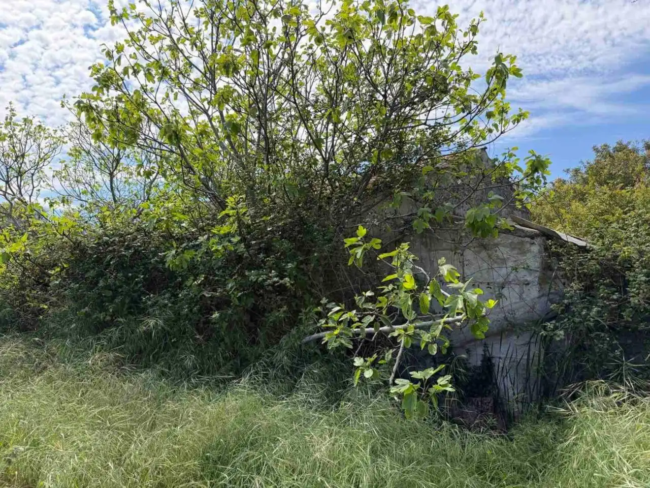 Terrain rustique à vendre à Muro
