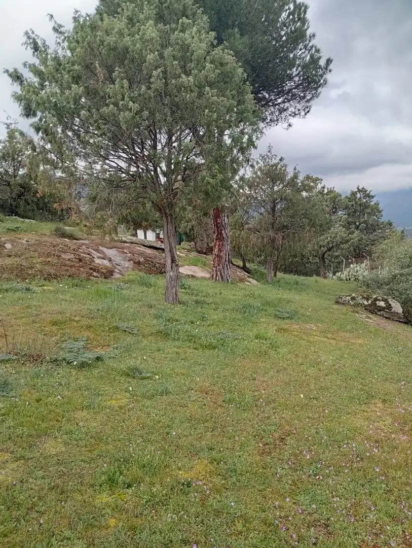 Maison avec piscine à vendre à El Tiemblo, imagen 46