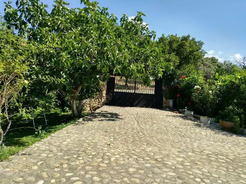 Villa zum Verkauf in Centro Ciudad, imagen 20