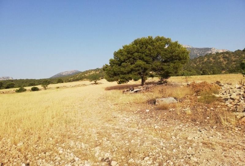 Foto 1 de Terreno en venta en  Aguica M Lorca, 80, Fontanares, Murcia