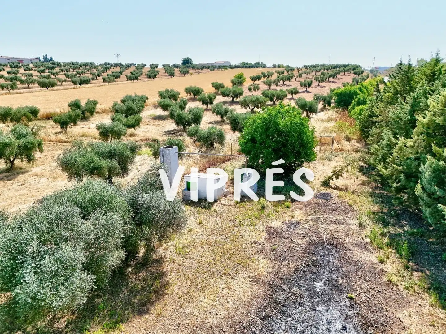 Country homes for sale in Norte