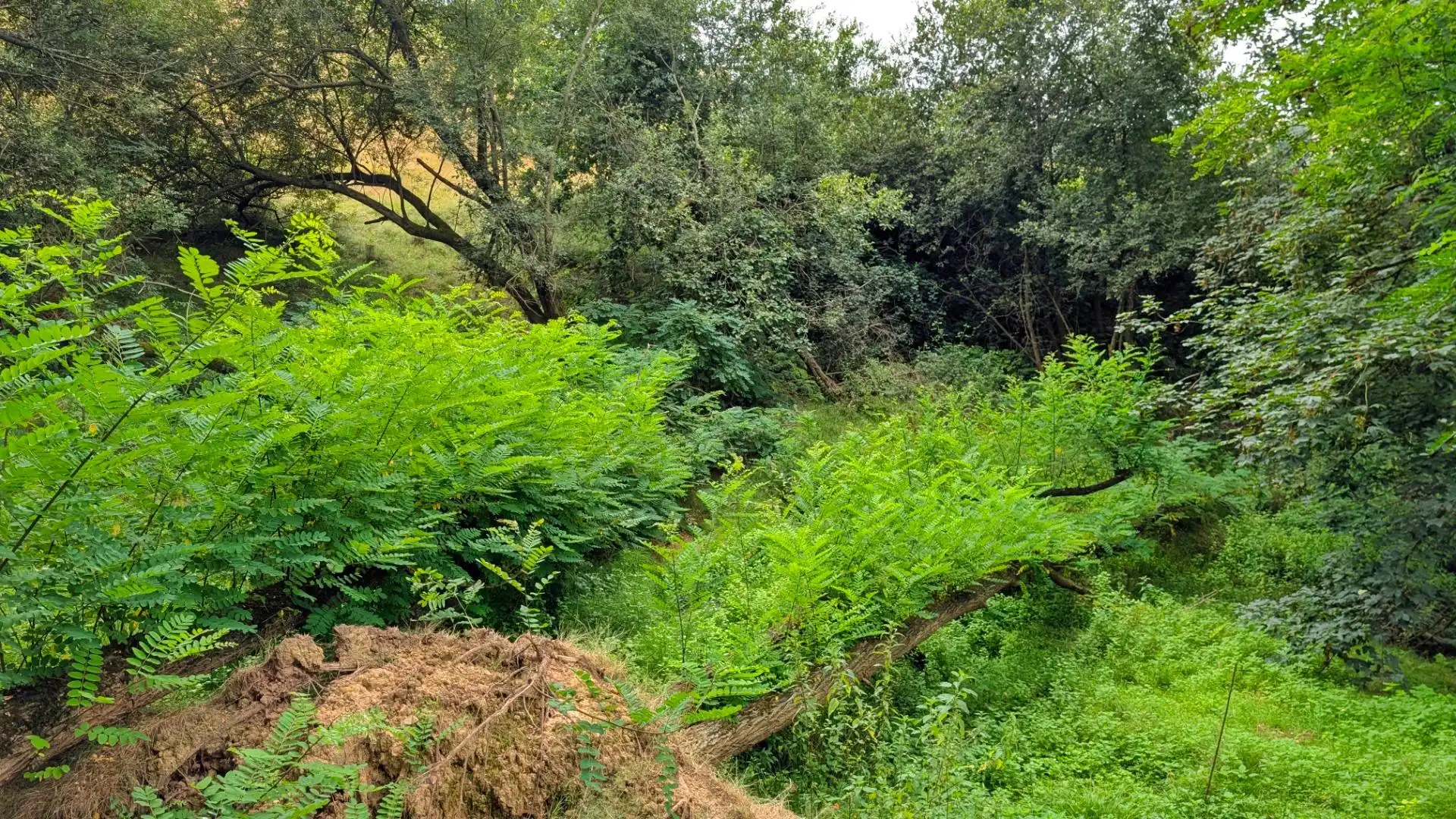 Finca rústica en venda en Torrelavega  amb Jardí privat