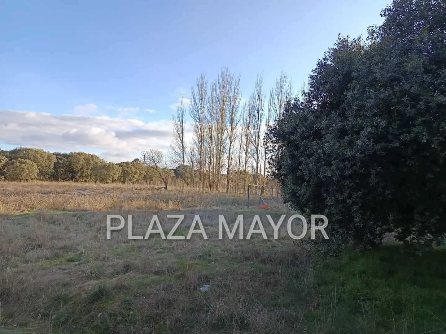 Rural land for sale in Calvarrasa de Arriba, imagen 3