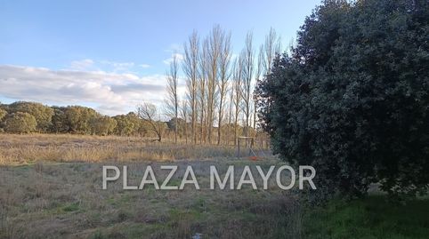 4422 PARCELA RUSTICA EN URBANIZACION LOS PERALES, imatge 3
