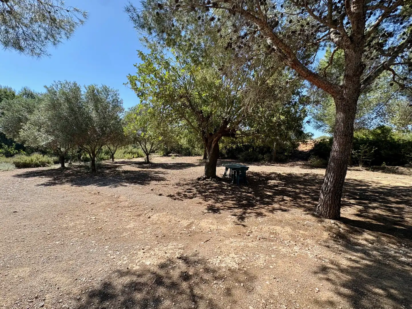 Casa o xalet en venda en Cheste amb Aire condicionat, Calefacció i Jardí privat
