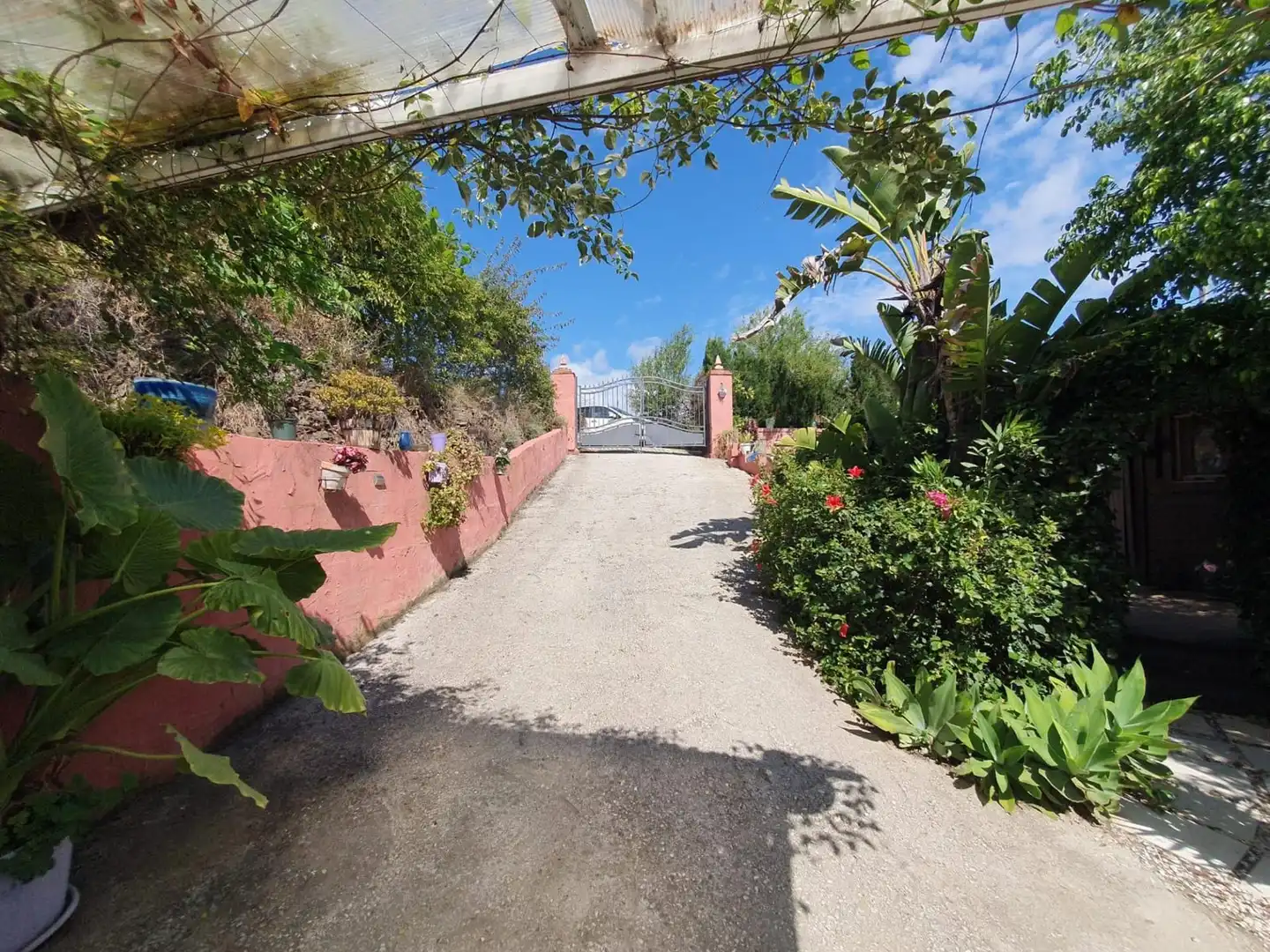 Country homes for sale in Monda