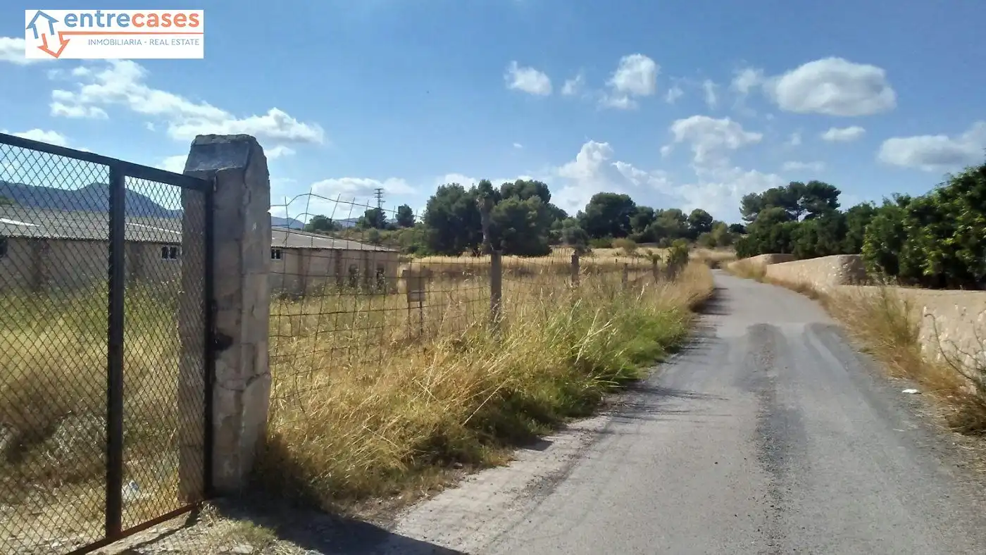 Rural land for sale in Albalat dels Tarongers, imagen 4