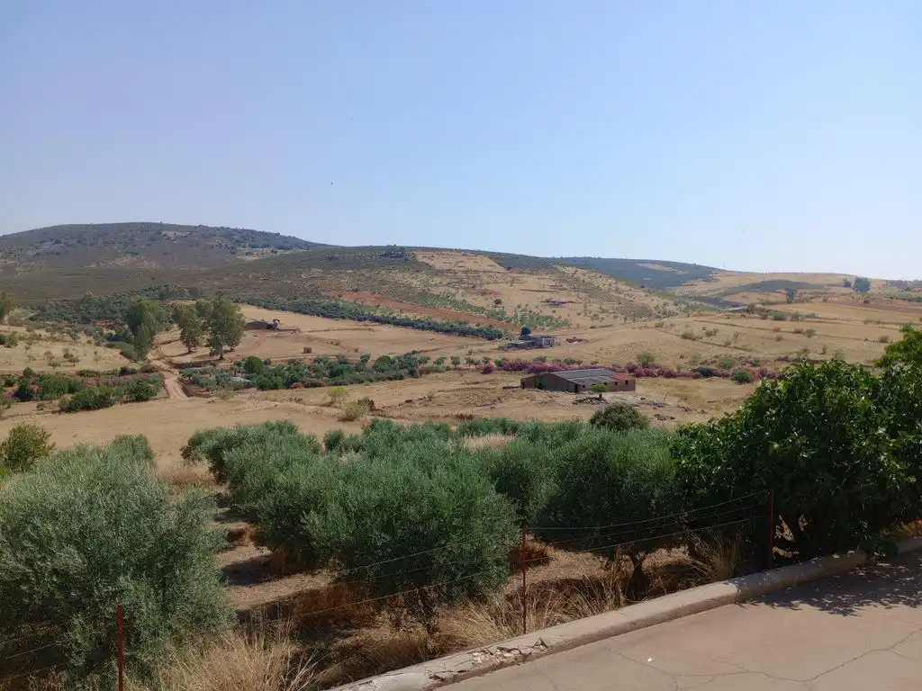 Garden of Houses for sale in Valle de la Serena  with Air Conditioner, Terrace and Storage room