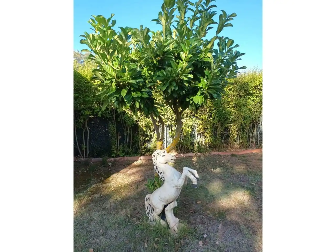 Country homes for sale in Entrena
