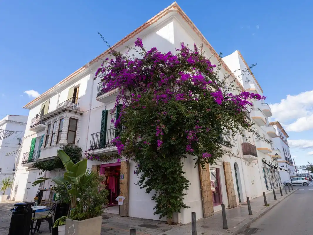 Lofts for sale in Carrer de Guillem de Montgrí, Dalt de la Vila - La Marina