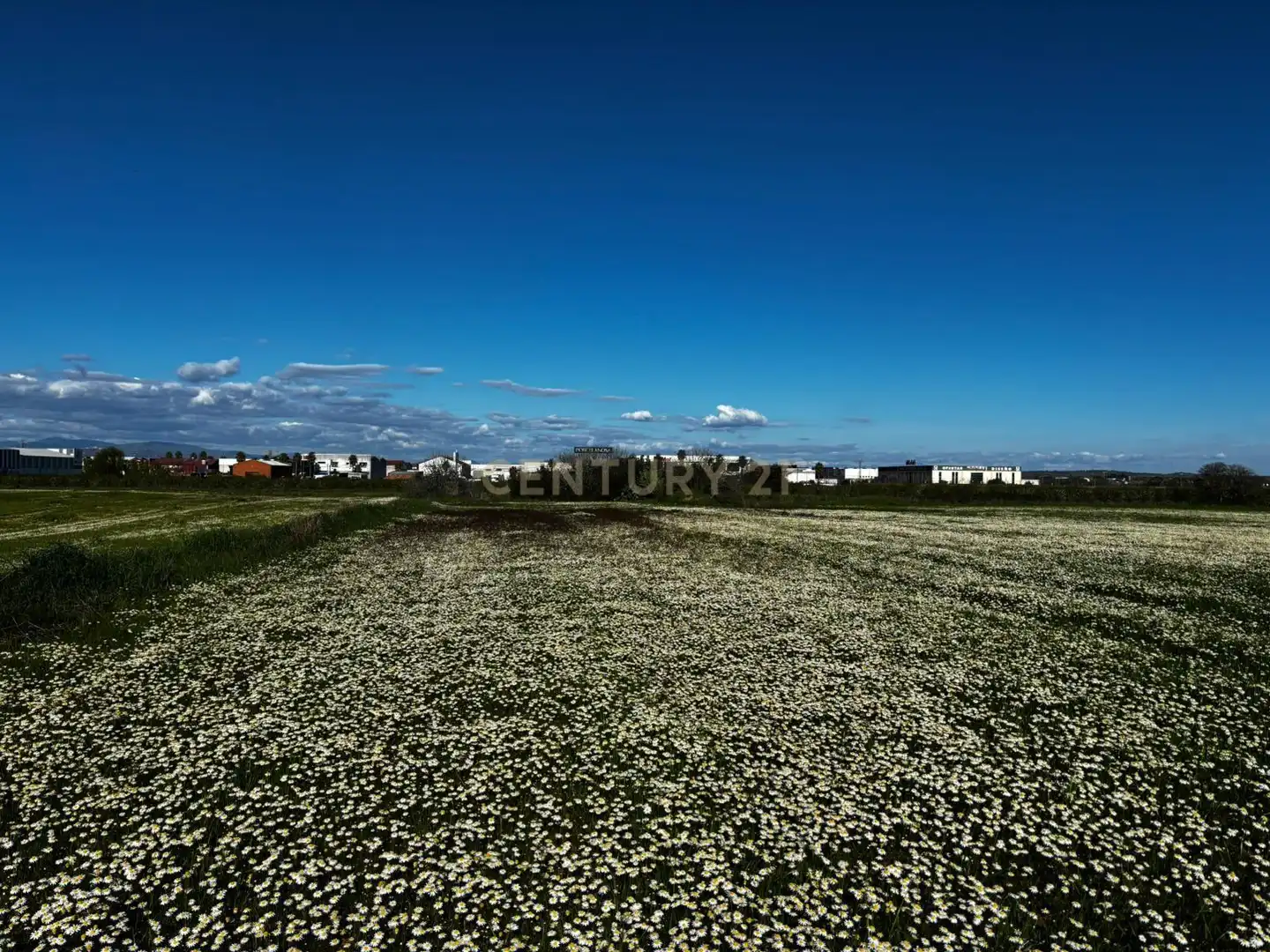 Grundstücke zum Verkauf in Moraleja