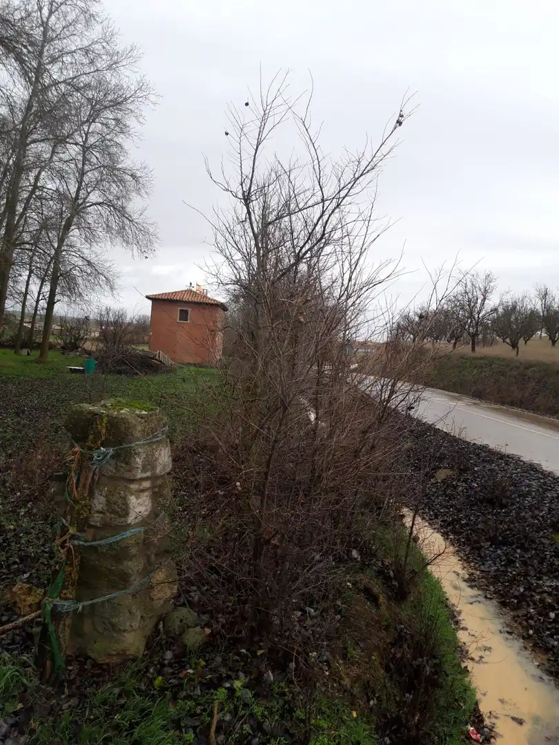 Terreno en venta en Aguilar de Campos
