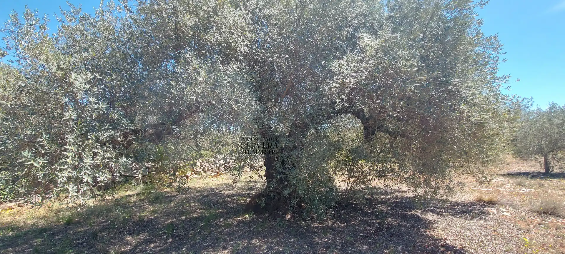 Terreno rustico in vendita a Cervera del Maestre, imagen 23