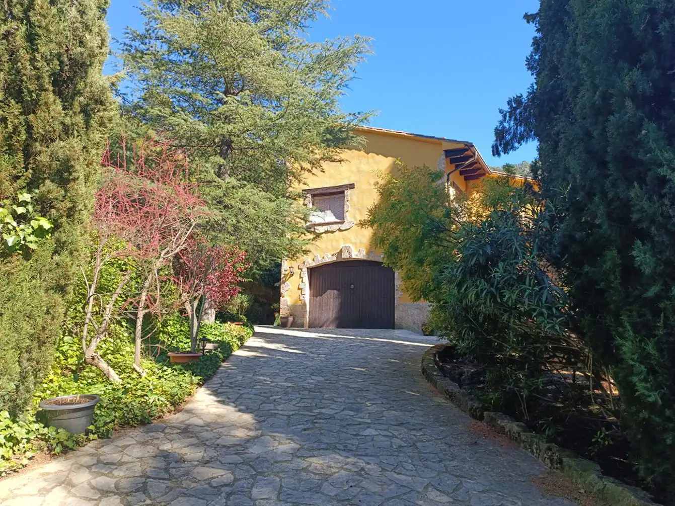 Vista exterior de Residencial en venta en Beceite