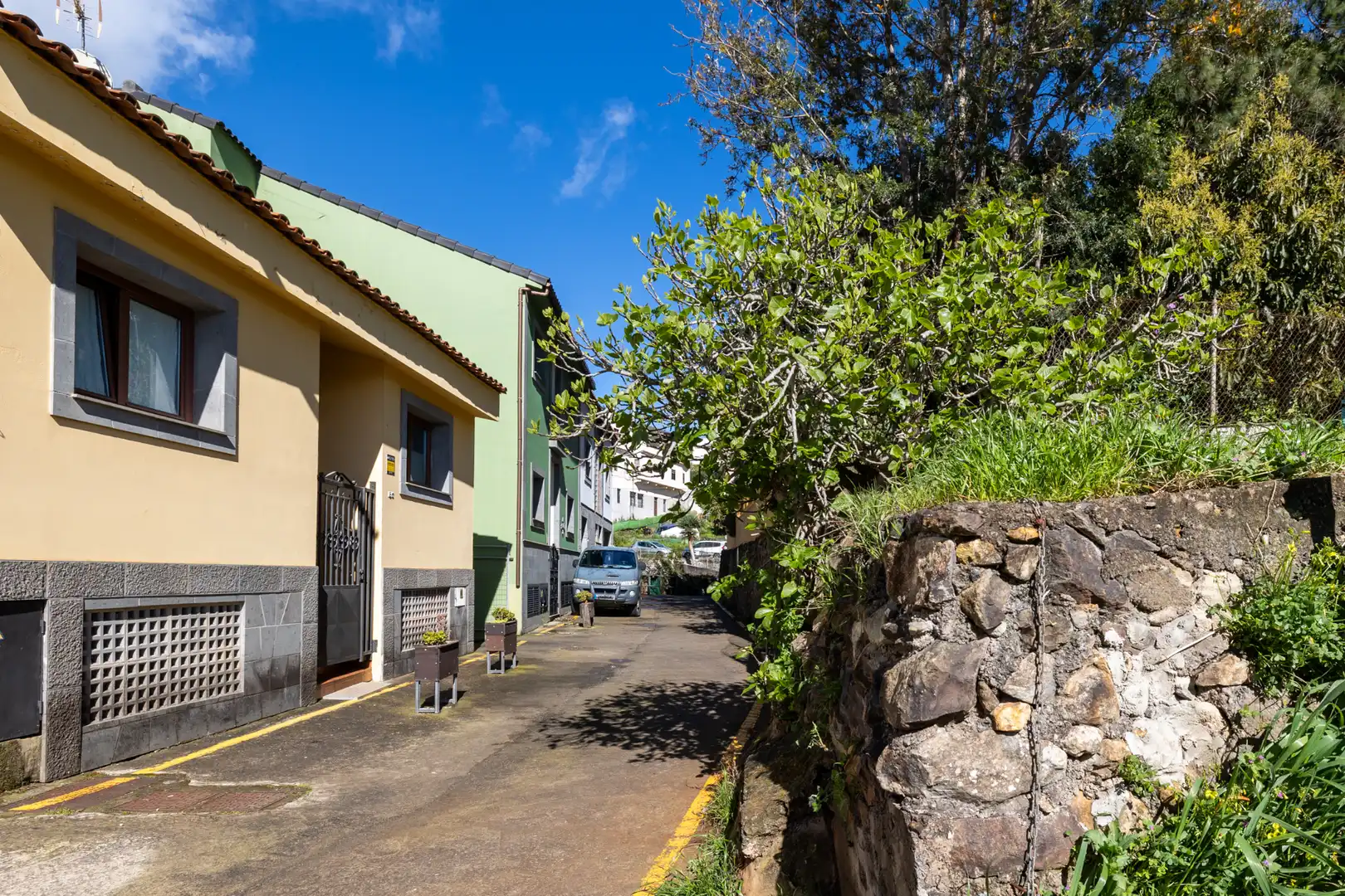 Vista exterior de Casa adosada en venta en Teror con Jardín privado, Terraza y Amueblado