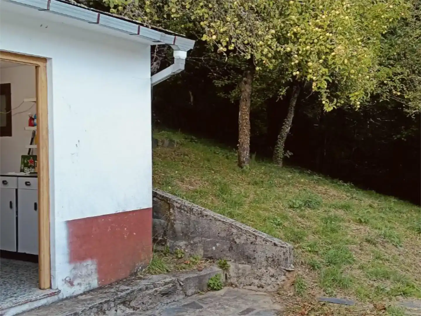 Vista exterior de Finca rústica en venda en Folgoso do Courel amb Jardí privat, Traster i Moblat
