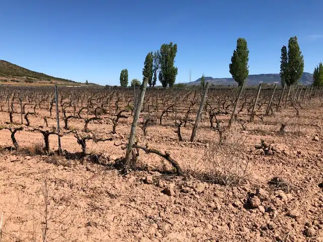 Rustikales Grundstück zum Verkauf in Navarrete, imagen 2