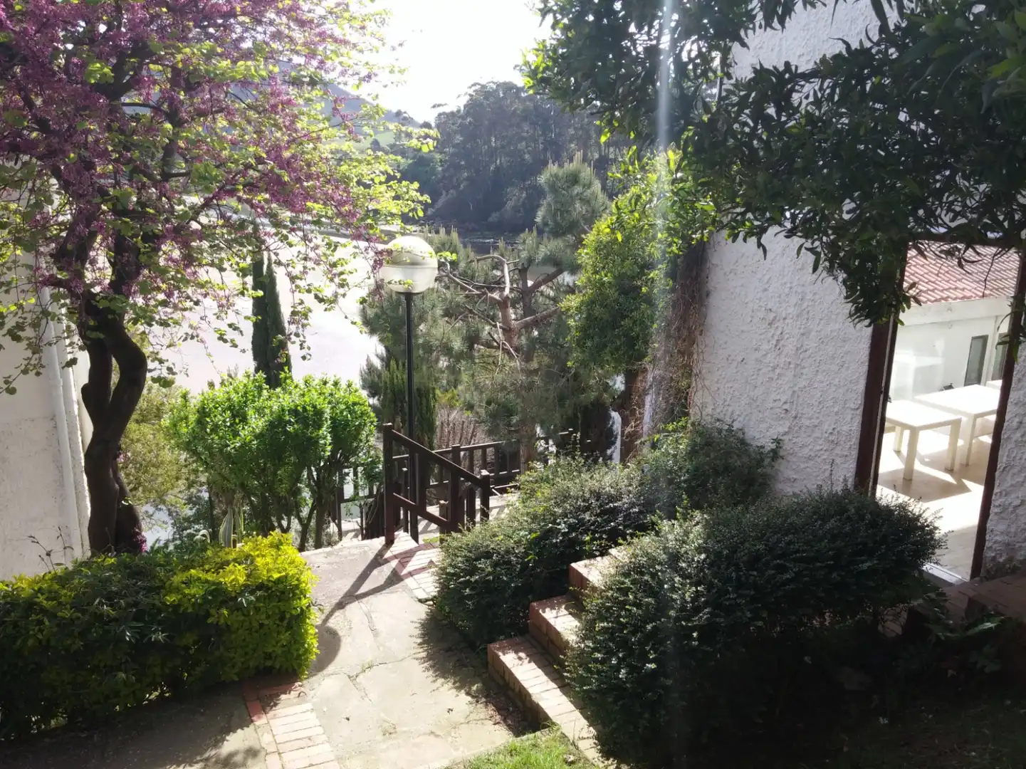Garden of Flat for rent in Mogro