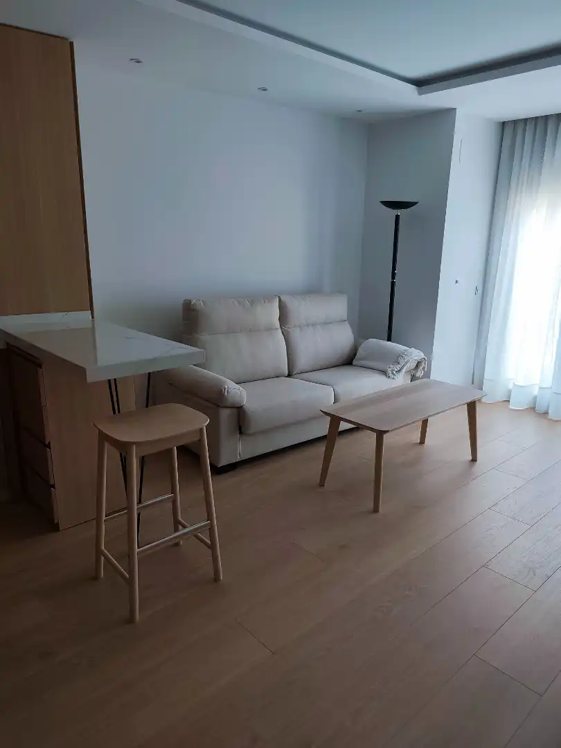 Living room of Apartments for rent in Córdoba  with Air Conditioner, Heating and Furnished