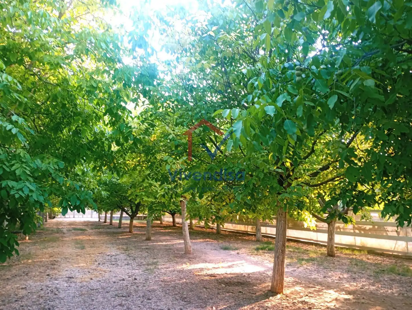 Terreny rústic en venda a Pesquera (Polígono 512), imagen 30