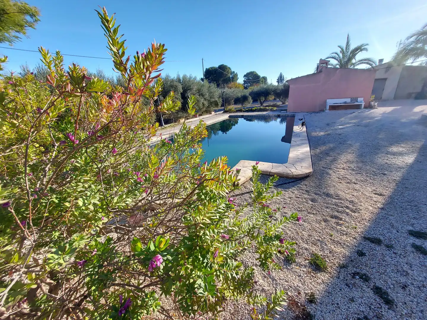 Piscina de Finca rústica en venta en Calasparra con Jardín privado y Piscina