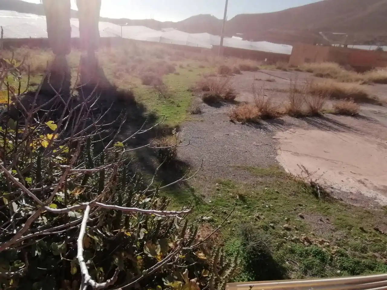 Terreno industrial en venta en Dalías