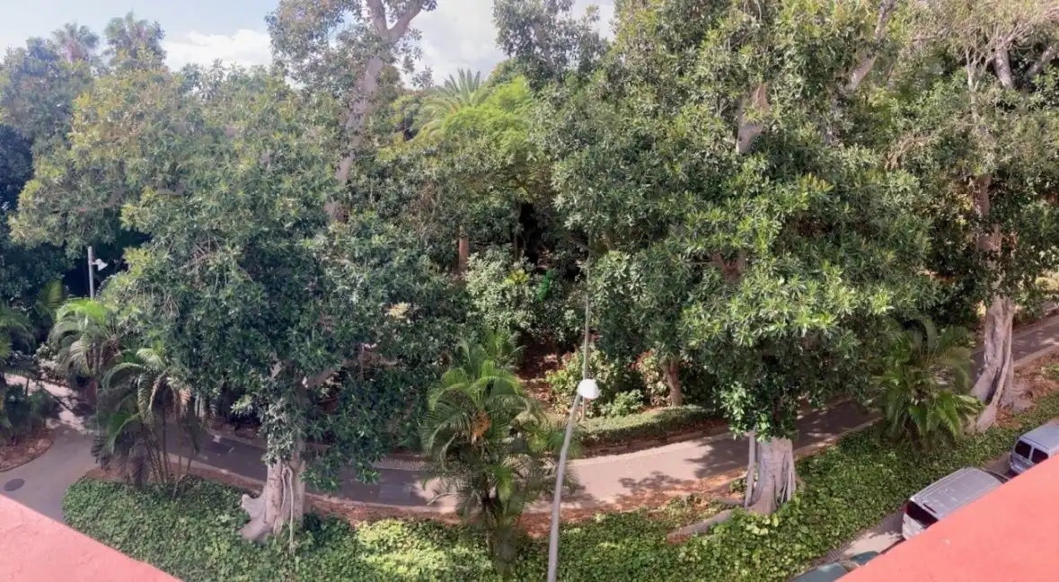 Jardín de Casa o chalet en venta en Santa Cruz de Tenerife