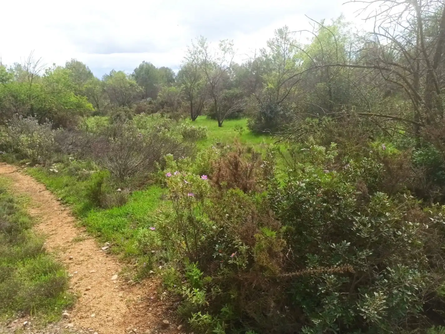 Rural land for sale in Poligono 1, imagen 9