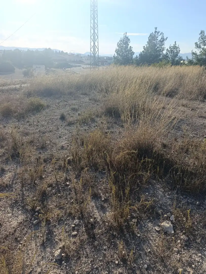 Industrial land for sale in Bullas, Murcia