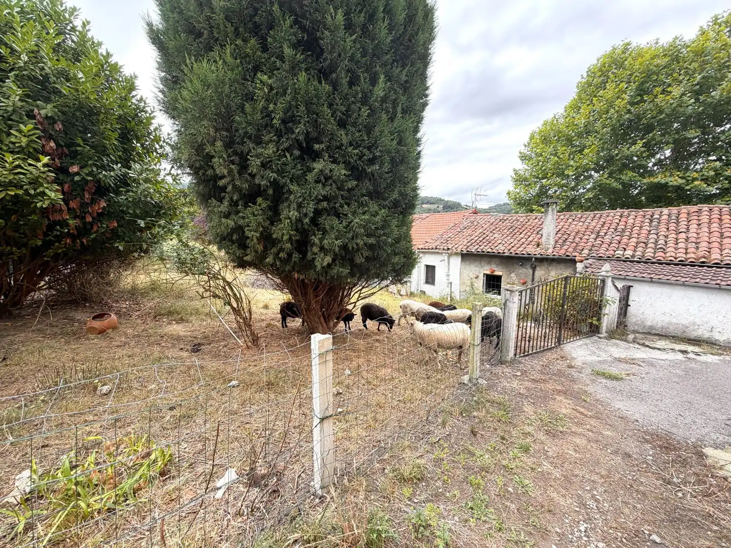 Haus zum Verkauf in PANDO 32, imagen 3