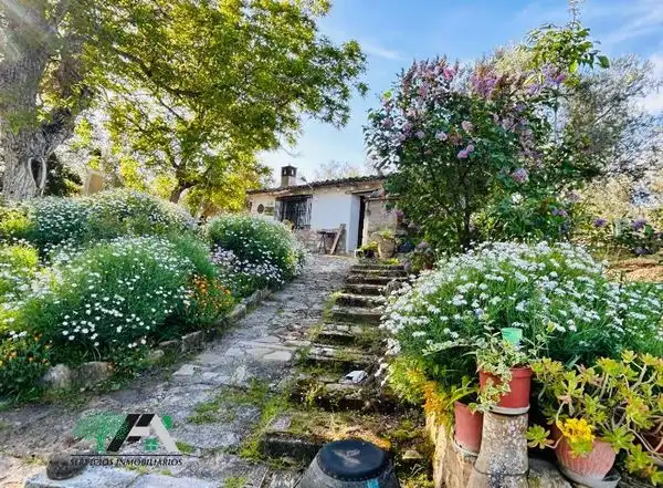 Terreni e lotti in vendita a Baeza
