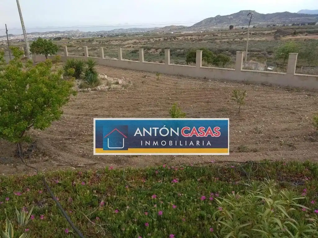 Finca rústica en venda a Novelda