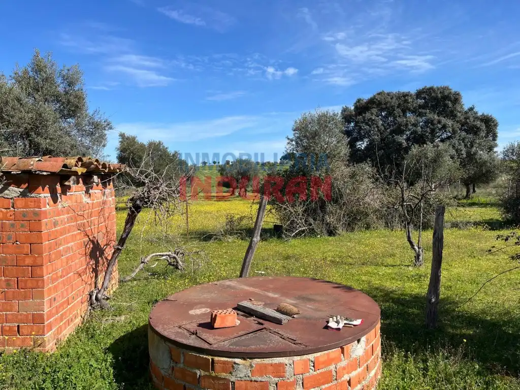 Finca rústica en venta en Peraleda de la Mata