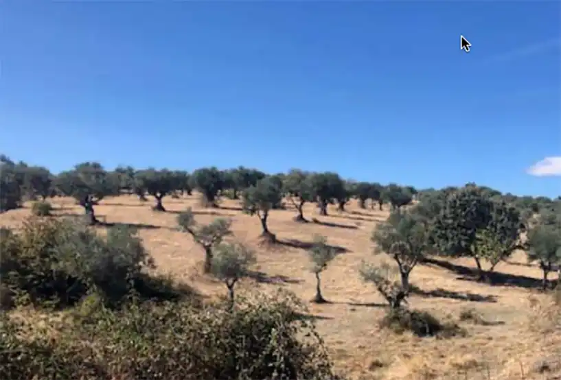 Terreni e lotti in vendita a N/A