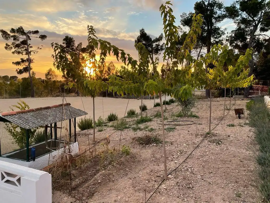 Detached house with terrace for sale in Ibi, imagen 5